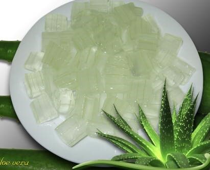 Thạch Nha Đam Đại Lộc – Topping Nha Đam 1kg Thanh Mát Tự Nhiên Cho Mọi Thức Uống