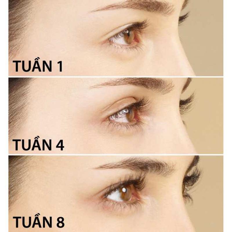 Son kem, dạng hộp kèm cọ đôi môi cá tính