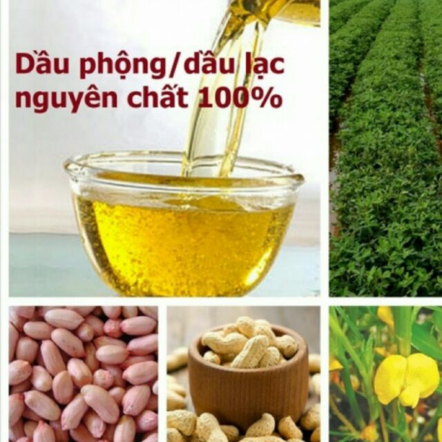 sỉ Dầu lạc nghệ an (dầu đậu phộng)