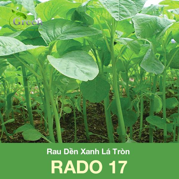Hạt Giống Rau Dền Xanh Lá Tròn Dễ Trồng, Nhanh Thu Hoạch (Gói 20 gam ~ 7000 hạt)