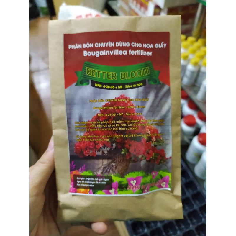 Phân bón kích thích ra hoa cho hoa giấy