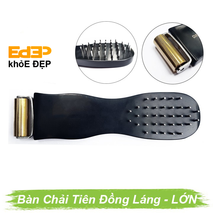 Bàn Chải Tiên Và Đồng Láng Lớn - Dụng Cụ Diện Chẩn ( Phụ Kiện VinaMassage Điện Chấn Nhấn Huyệt Ma Lược Chuẩn Chân ) | ChuanMua GDA170