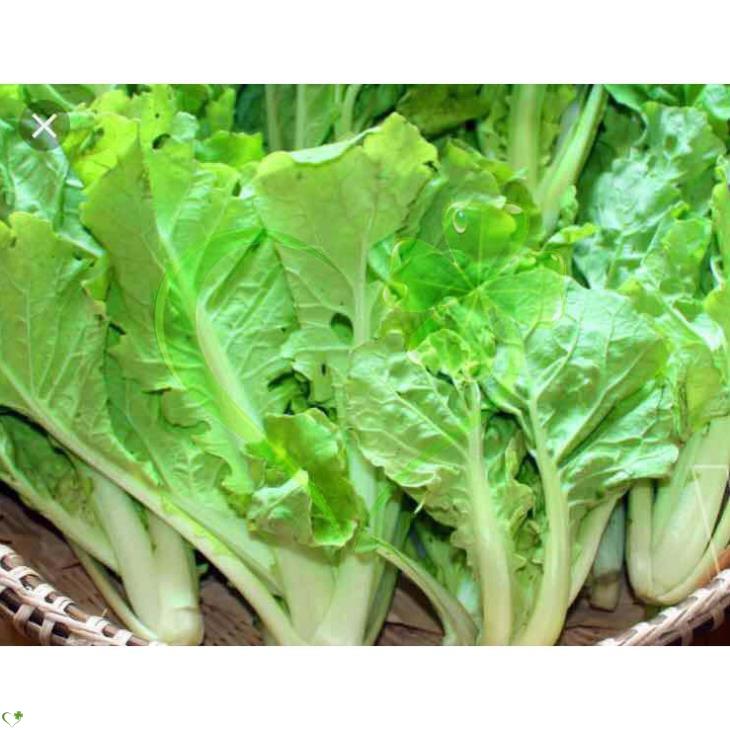 Hạt giống cải bẹ dún - gói 10 gram
