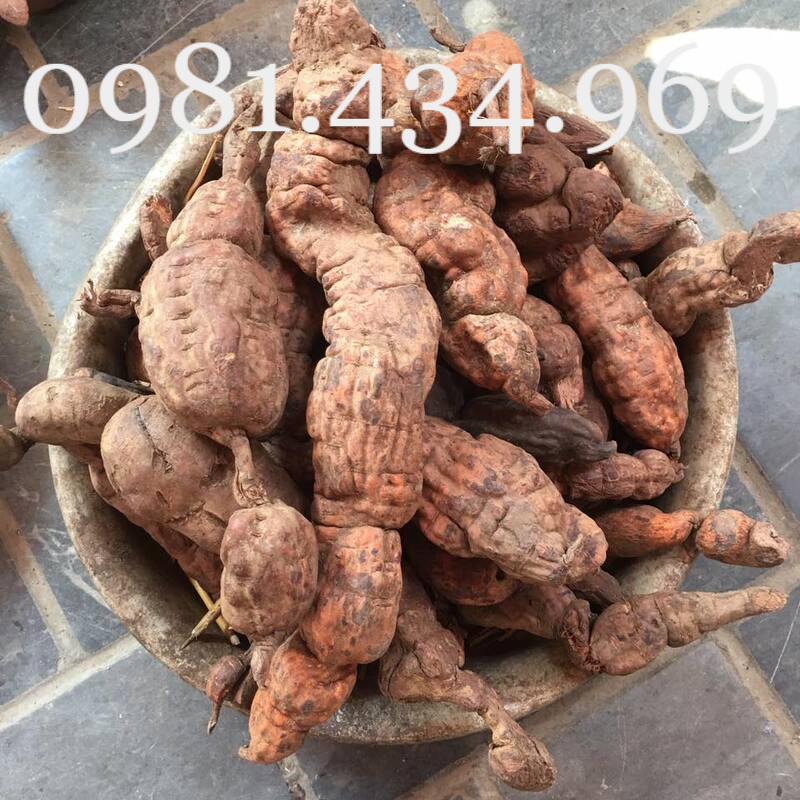 Củ Hà Thủ Ô 01KG Chuẩn