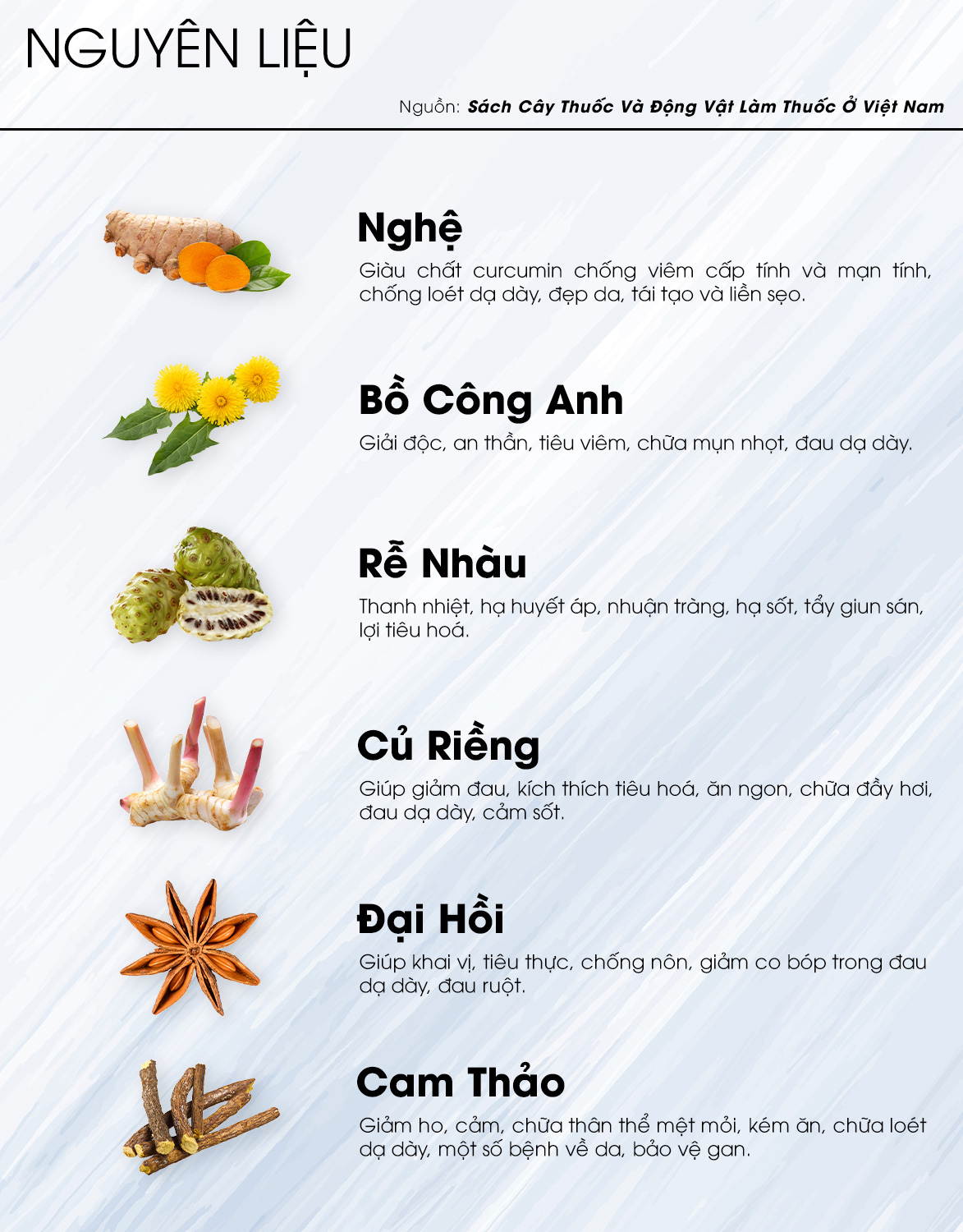 TRÀ NGHỆ  -  Trà Hùng Phát