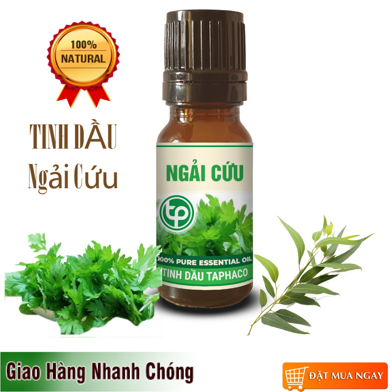 Tinh dầu ngải cứu nguyên chất 10ml - Thảo Dược Tấn Phát