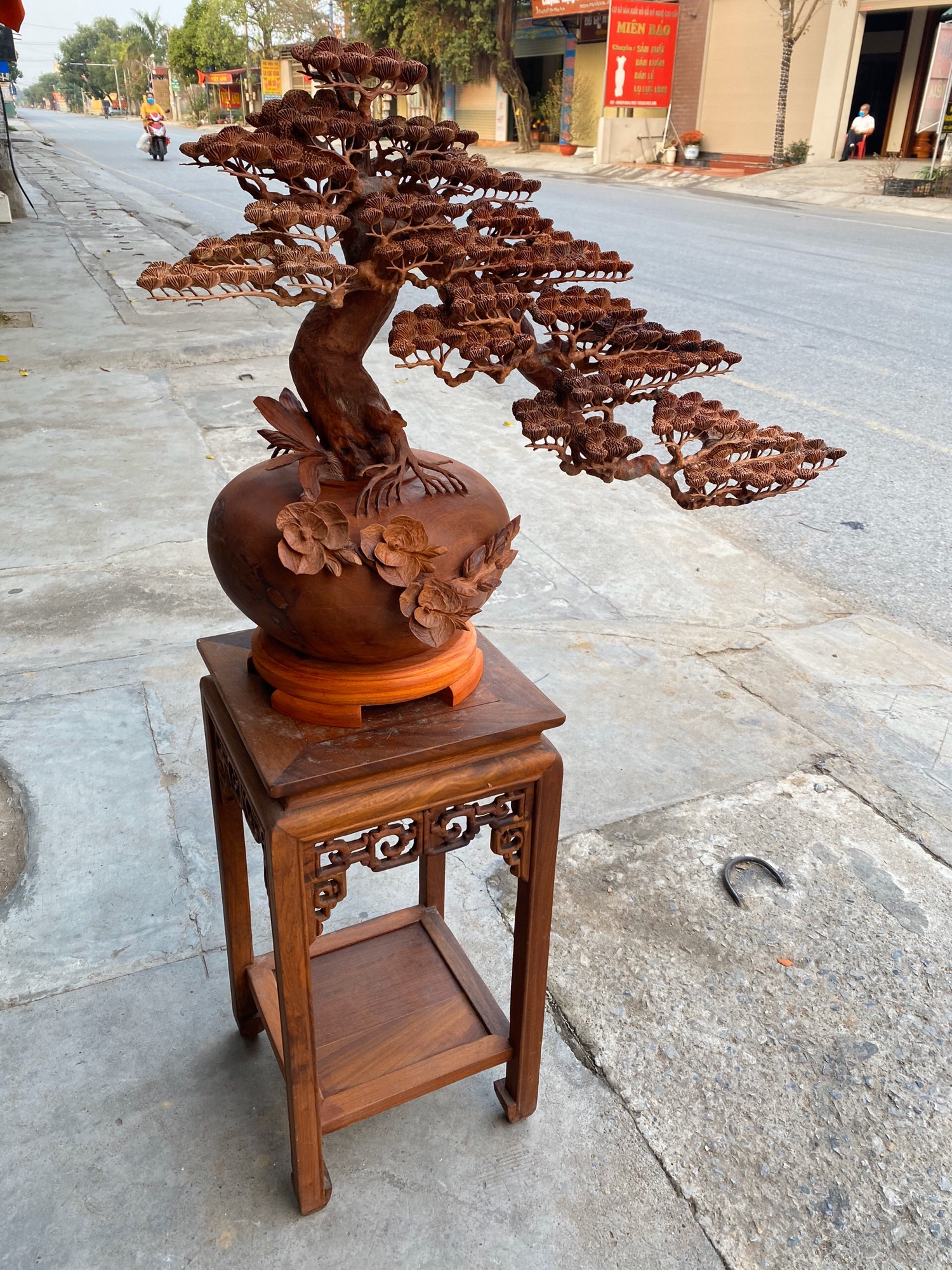 🍁🍁🍁BON SAI TÙNG THÁC  ĐỖ !!!