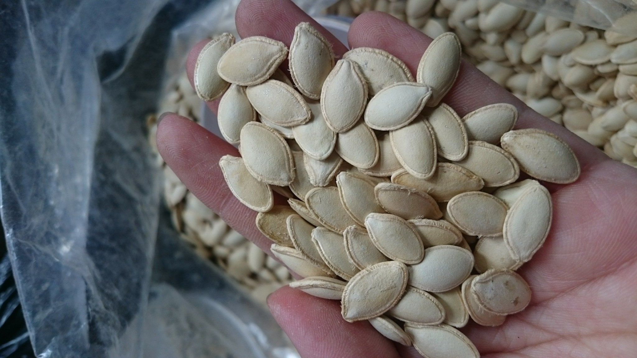 500gr Hạt Bí Rang Tay Loại 1