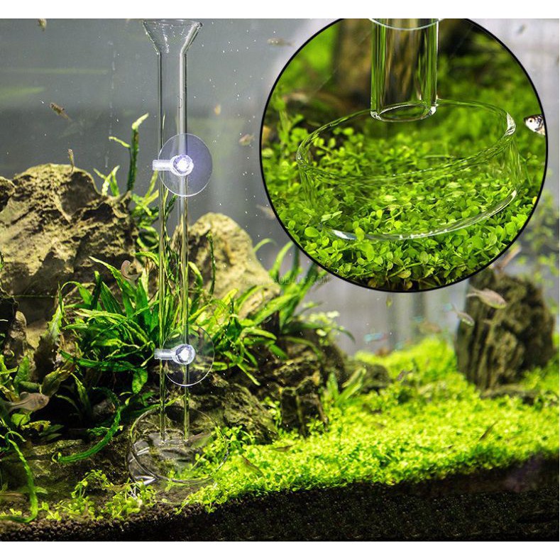 Ống Và Chén Ăn Thủy Tinh Cho Tép, Tôm, Cá- Dụng Cụ Cho Tép Ăn- Phụ Kiện Thủy Sinh