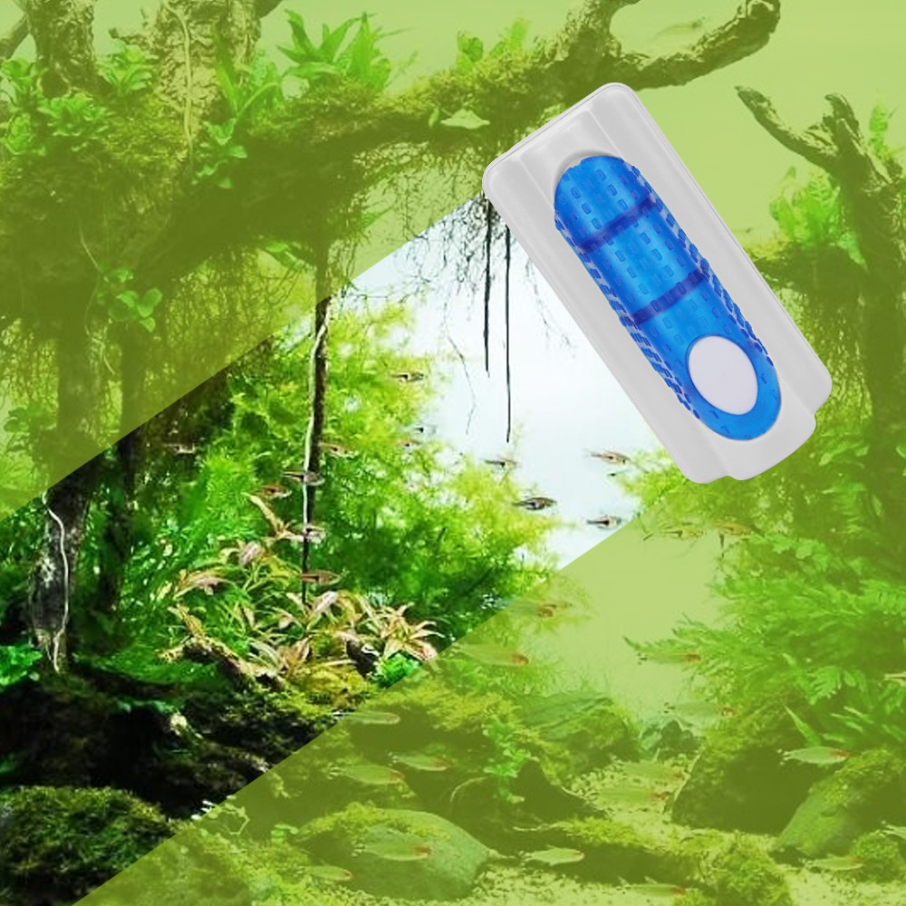 Nam châm lau cọ rửa kính bể cá cảnh