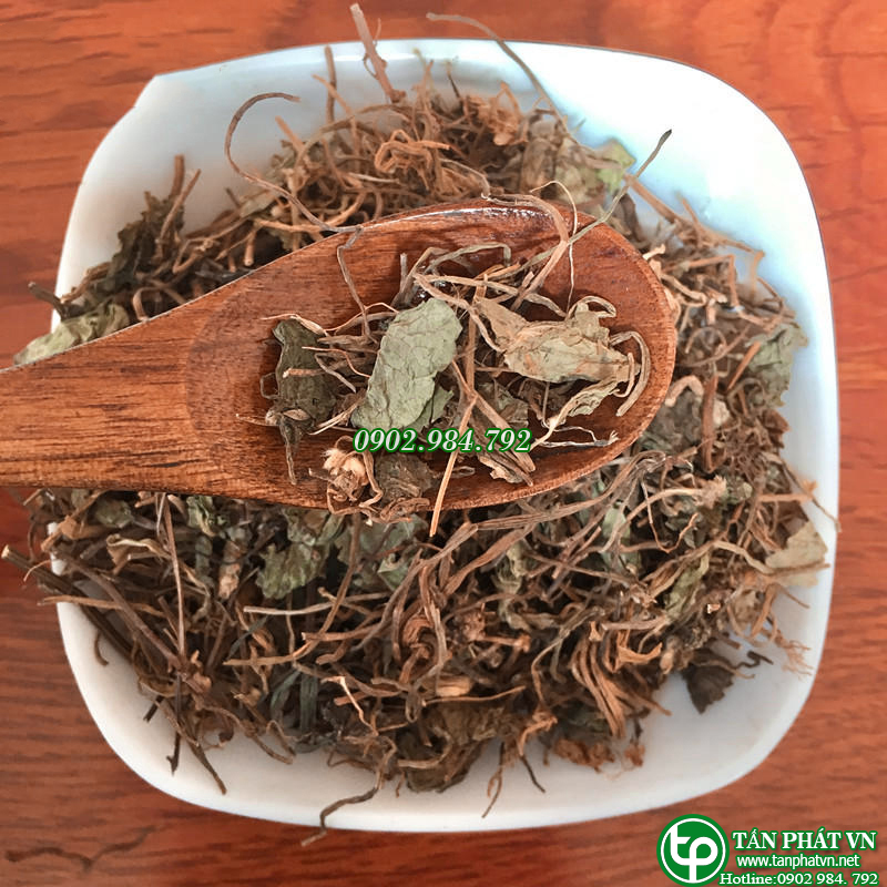 Rau má sấy khô 1kg - Thảo Dược Tấn Phát