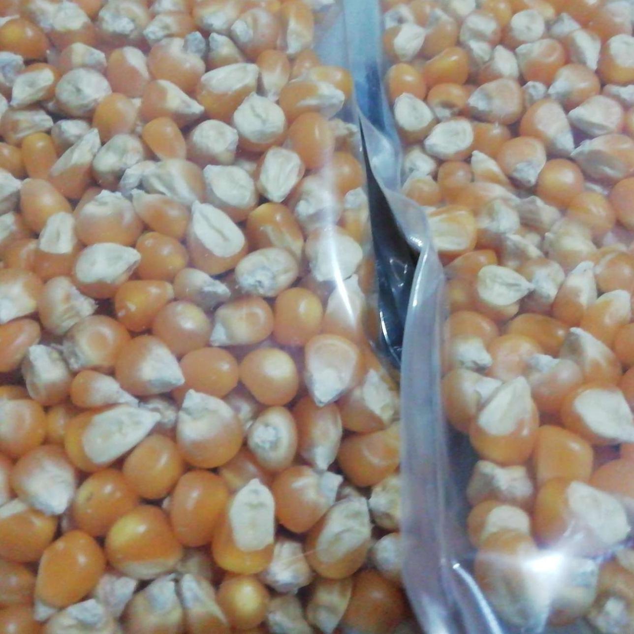 Bắp hạt 500g