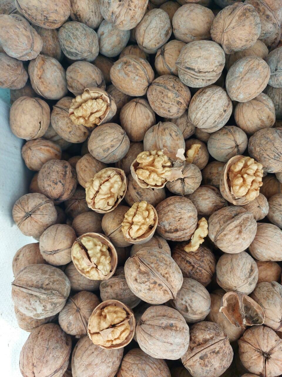 Óc Chó Cao Cấp Nhập Khẩu Mỹ