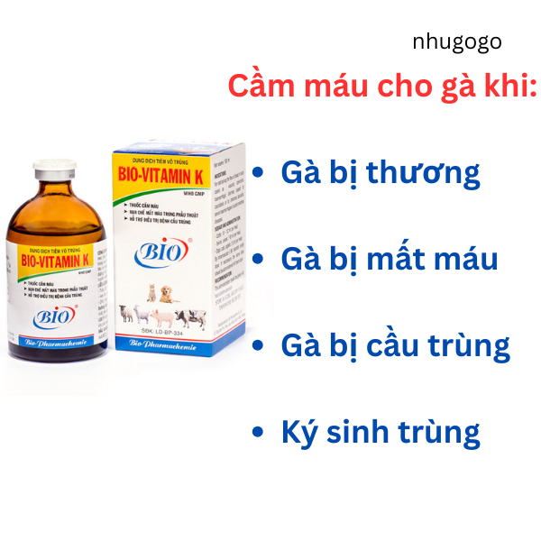 Bio vitamin K 100ml cầm máu khi gà bị thương
