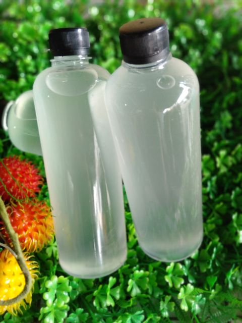 { 500 ML } HƯƠNG NẤU THẠCH DỪA