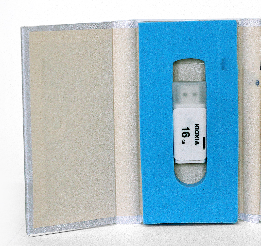 USB nhạc xuân  2024 MP3 +MP4 - 16G