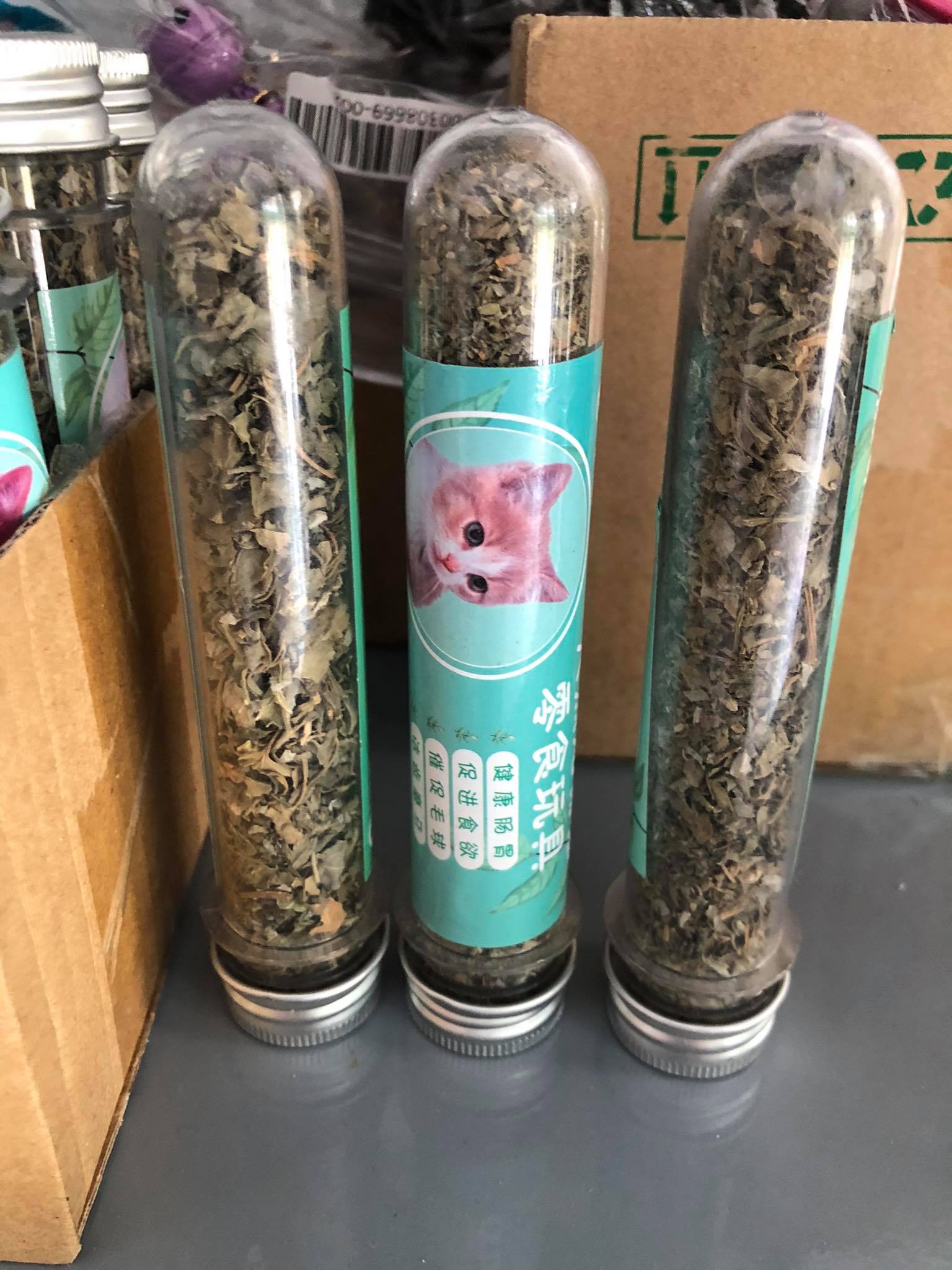 Cỏ bạc hà thành phẩm (cỏ mèo) bạc hà mèo dạng tuyp