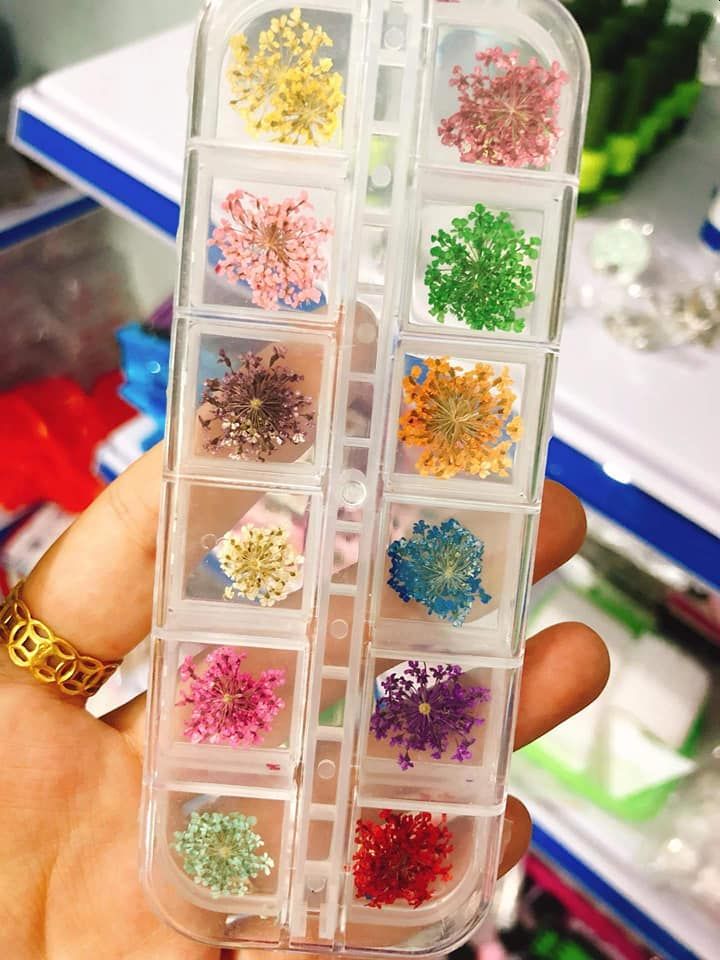 [HCM]SET HOA KHÔ TRANG TRÍ MÓNG - hoa khô