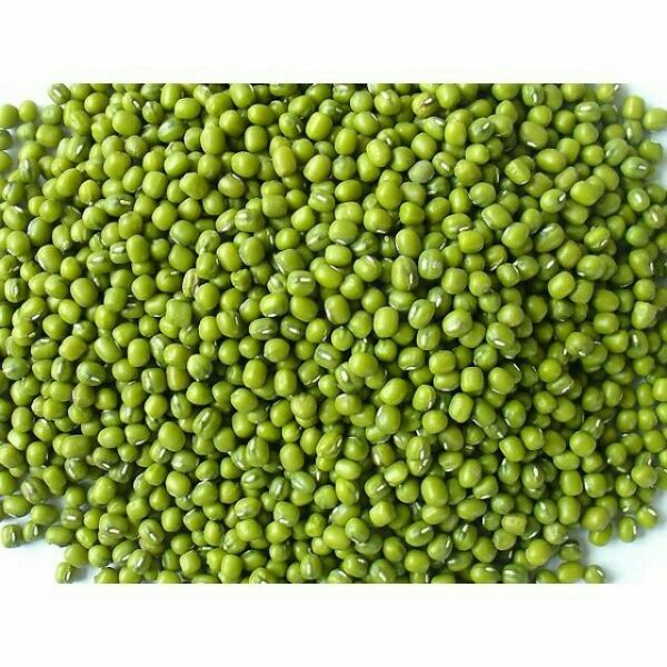 1kg đỗ xanh đỗ giá