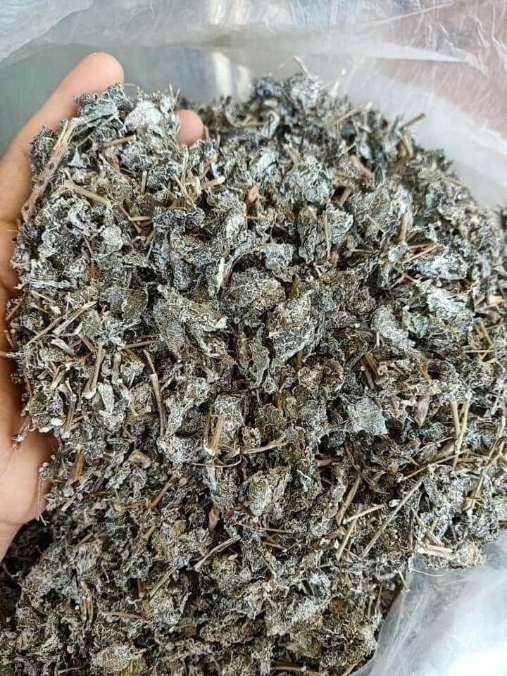 Gói chè dây khô (1kg)