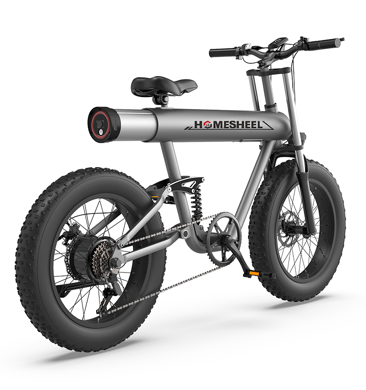 Xe Đạp Điện Thể Thao Homesheel T20 plus ( USA)