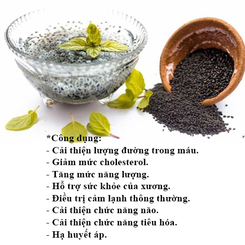 Set 4 món Mủ trôm Hạt ươi Hạt é Đường phèn, mỗi loại 200g