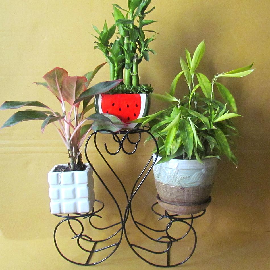 Gía đỡ chậu cây mini