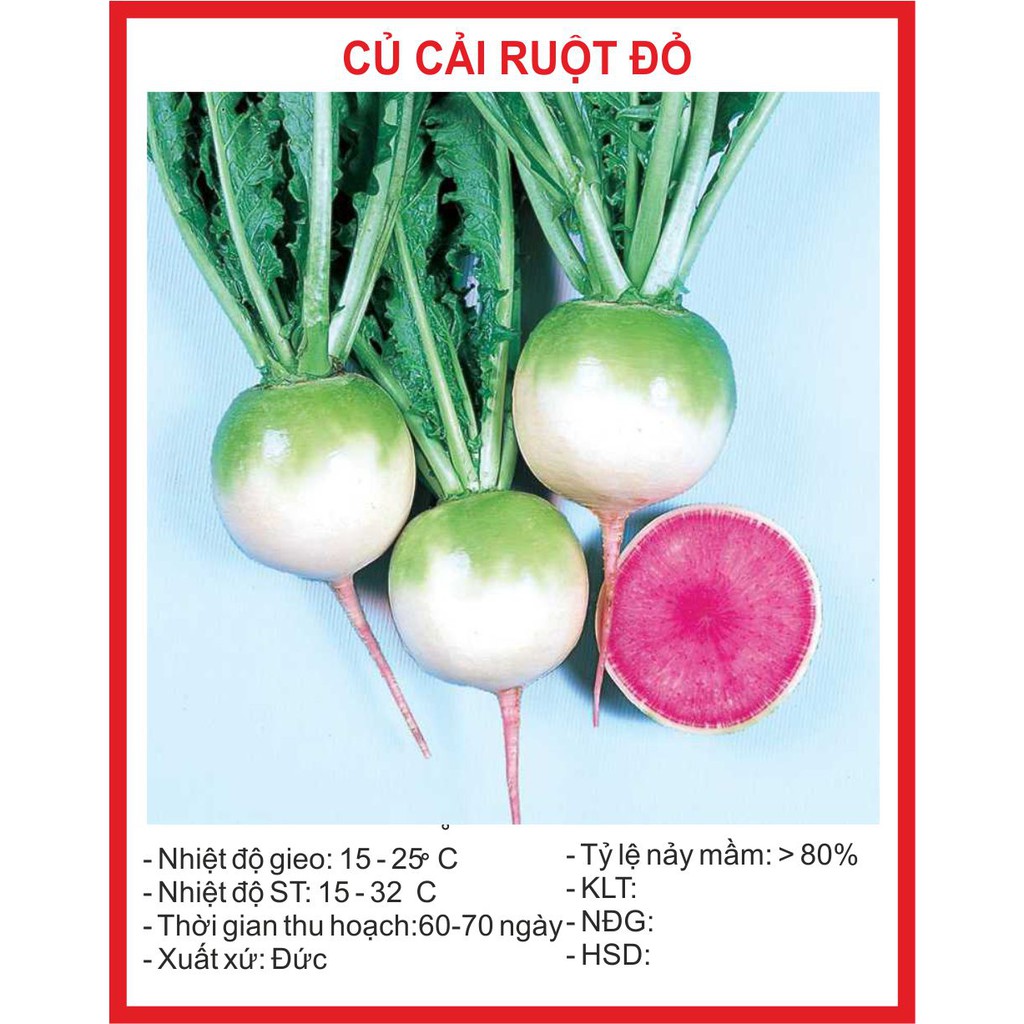 Hạt giống củ cải ruột đỏ 20 hạt