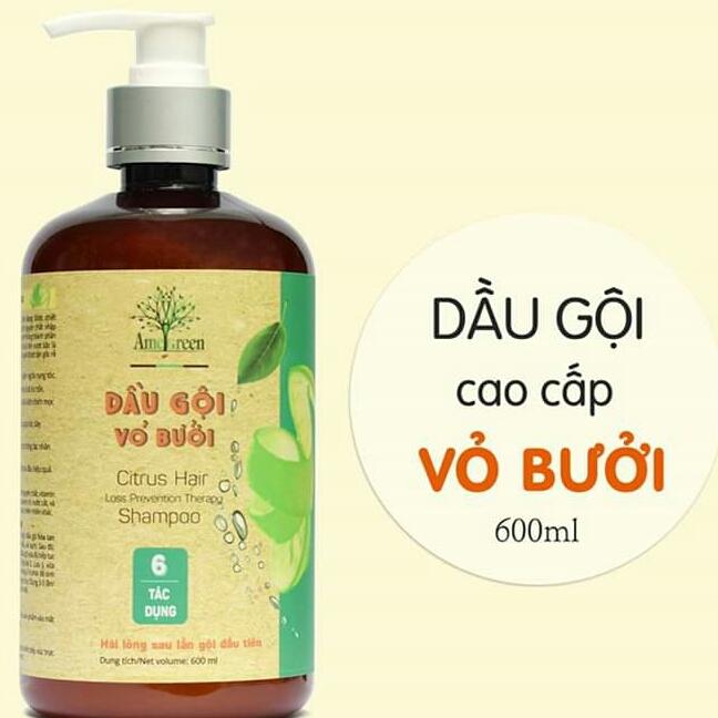 DẦU GỘI VỎ BƯỞI CAO CẤP ĐẶC TRỊ RỤNG TÓC AMEGREEN (600ml) tốt nhất