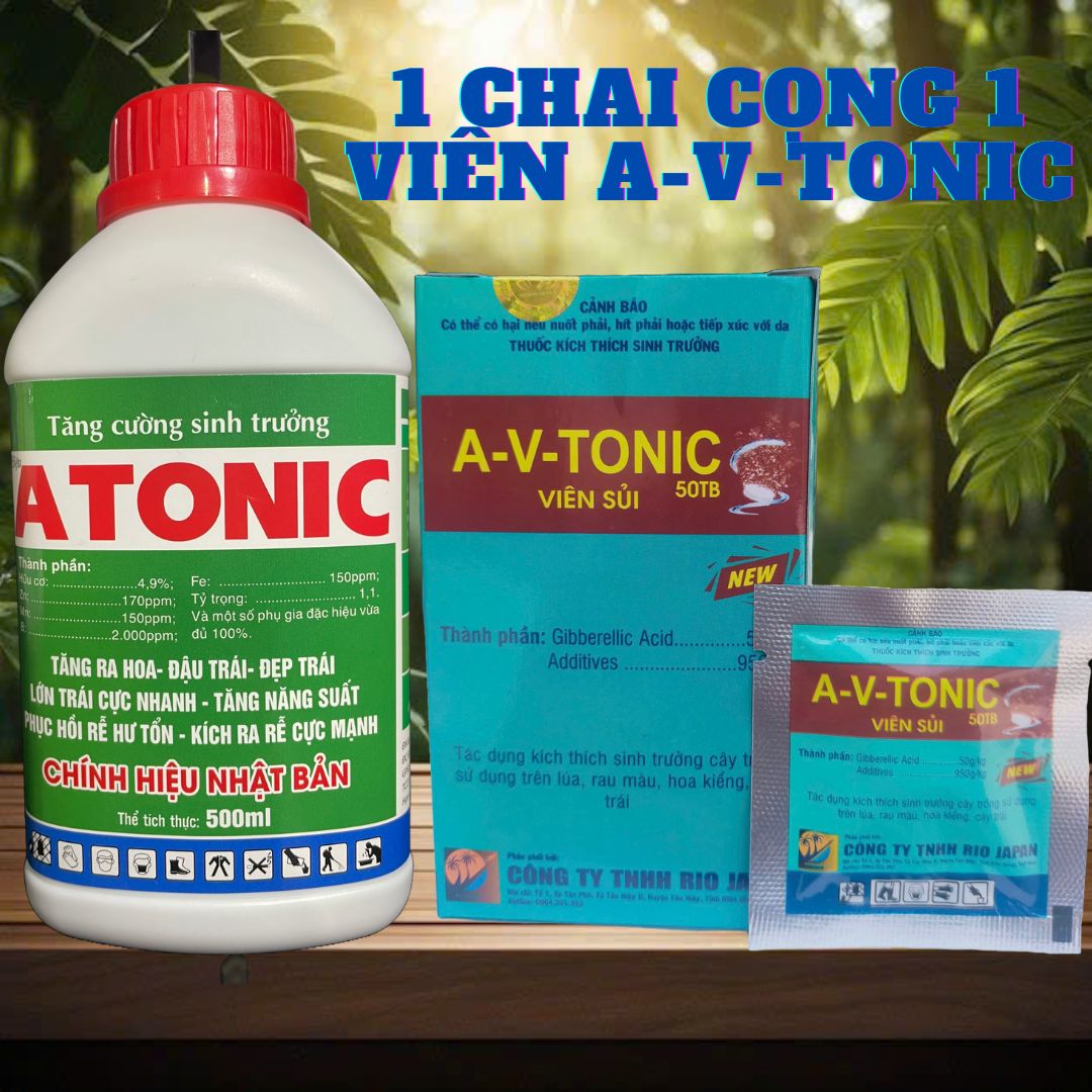 Atonic 500ml Powerful Root Stimulator Buy 1 Get 1 Free A-V-Tonic Effort Pills