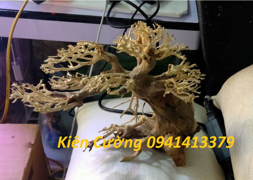 Cây gỗ lũa thủy sinh dùng cho bể cá cảnh, gỗ lúa cao cấp (Mẫu 1)