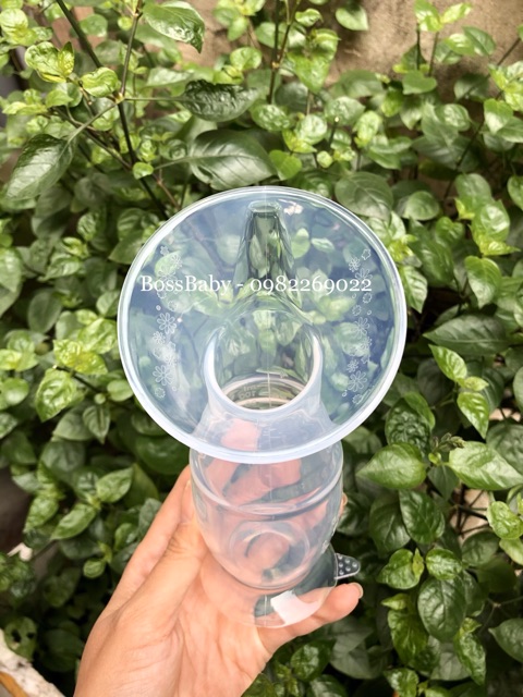 Cốc Hút Và Hứng Sữa Silicone Dolphin