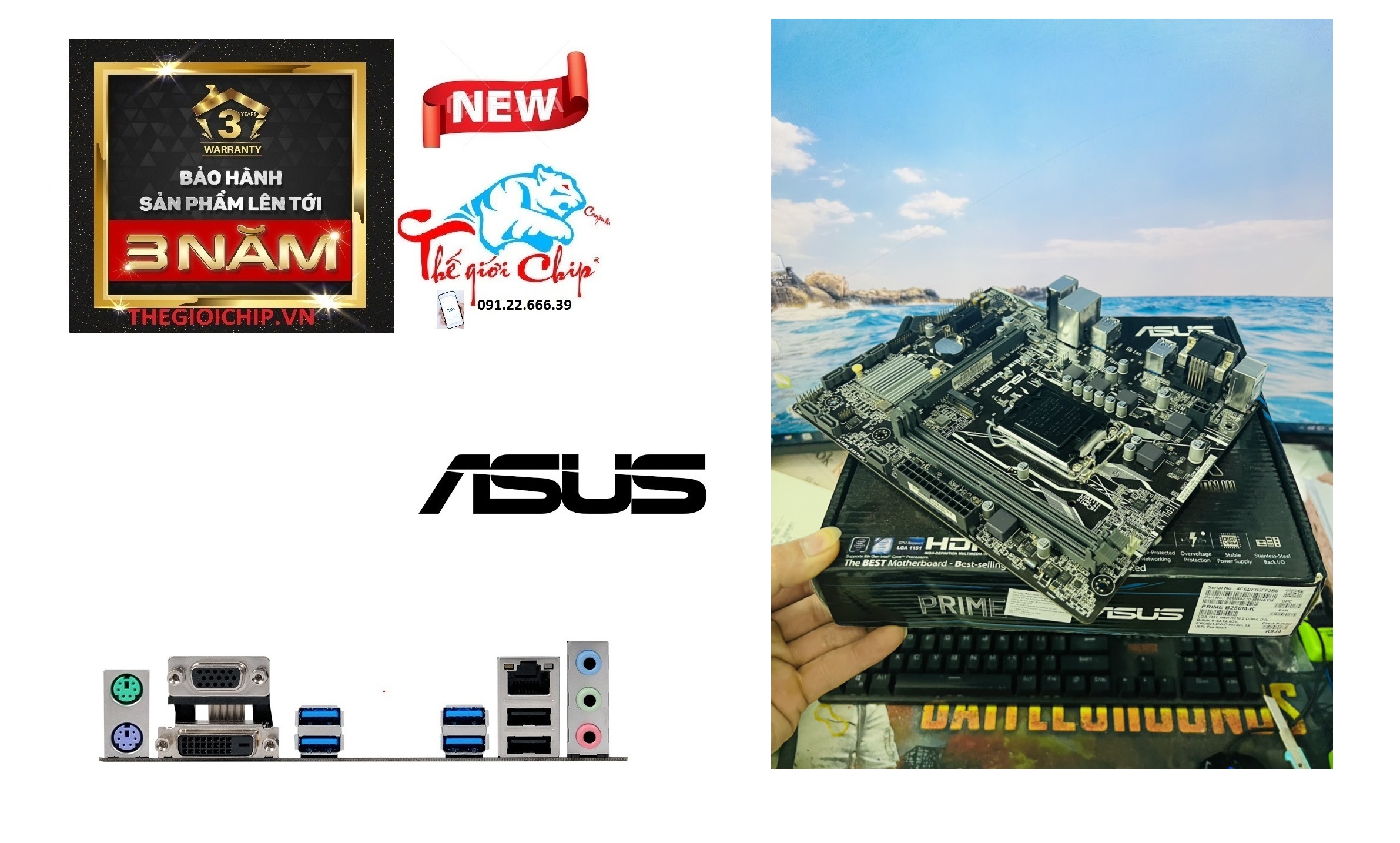 [HCM]Bo Mạch Chủ (Mainboard) ASUS PRIME B250M-K (CTY Box-3 Năm)