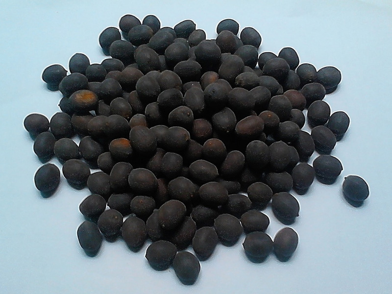 Hạt sen khô đồng tự nhiên, 500gr
