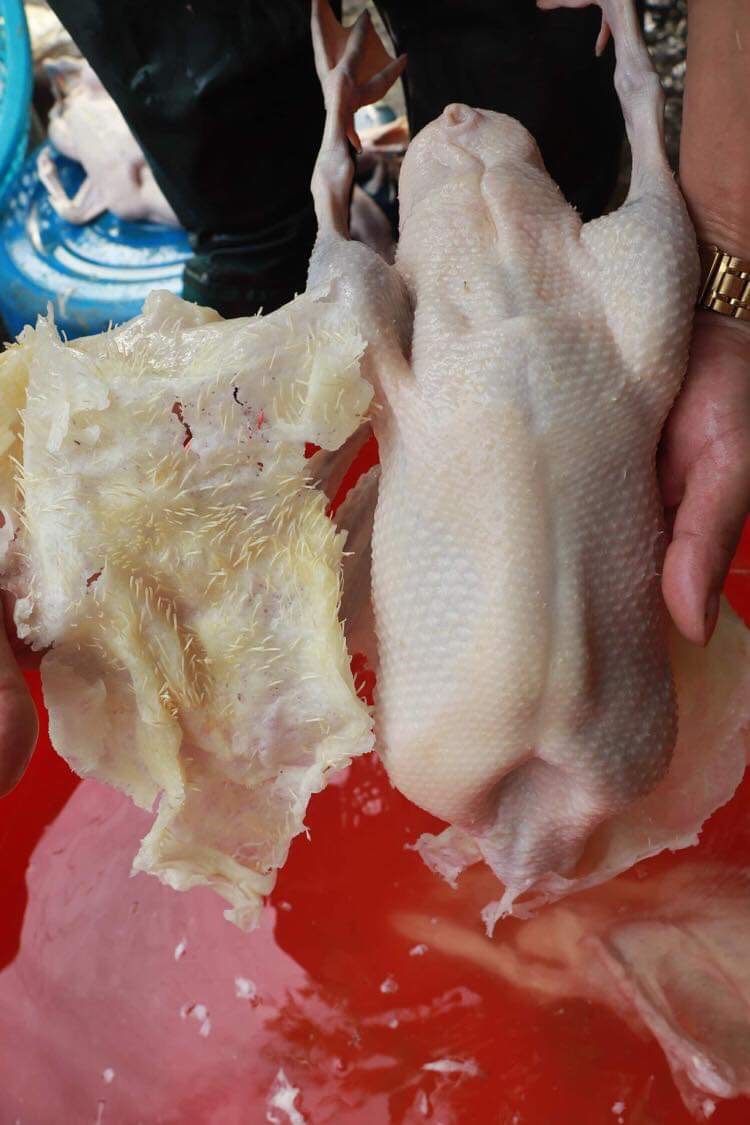SÁP LÀM LÔNG NGAN-VỊT-GÀ TÚI 2KG