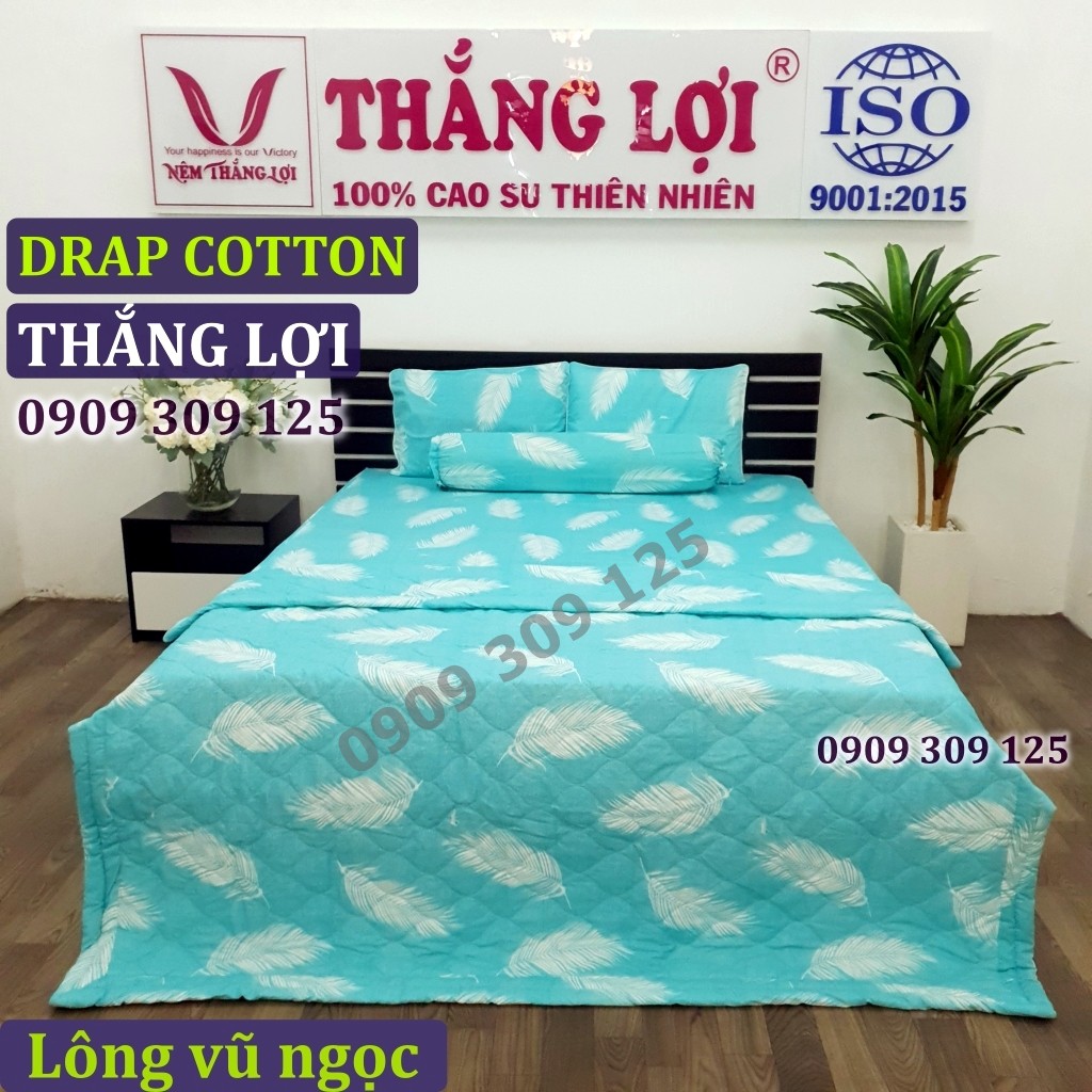 Combo áo gối (2 nằm + 1 ôm) cotton 100%  CHUẨN LOGO CTY