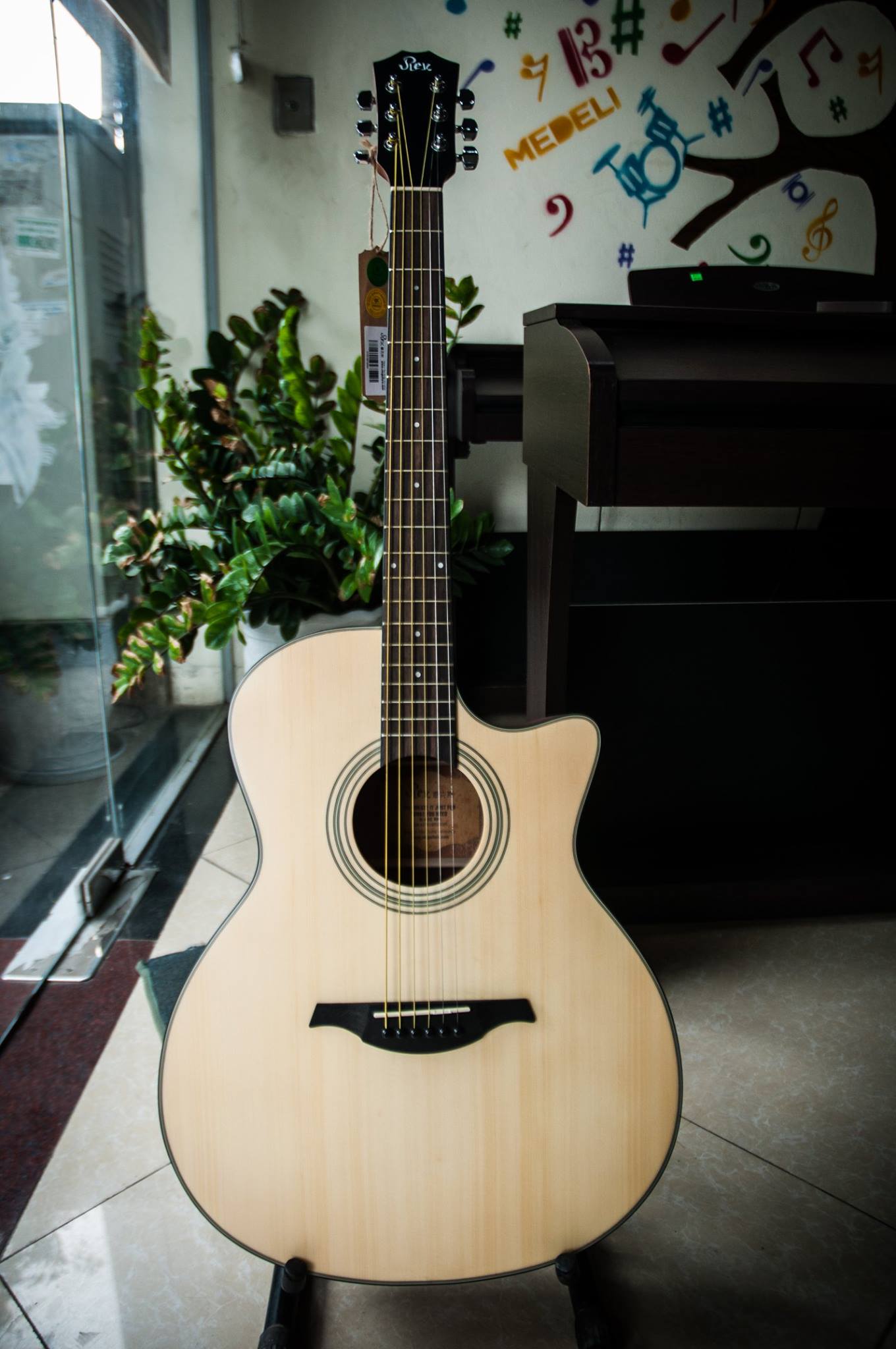 Đàn guitar acoustic Rex A1CNM