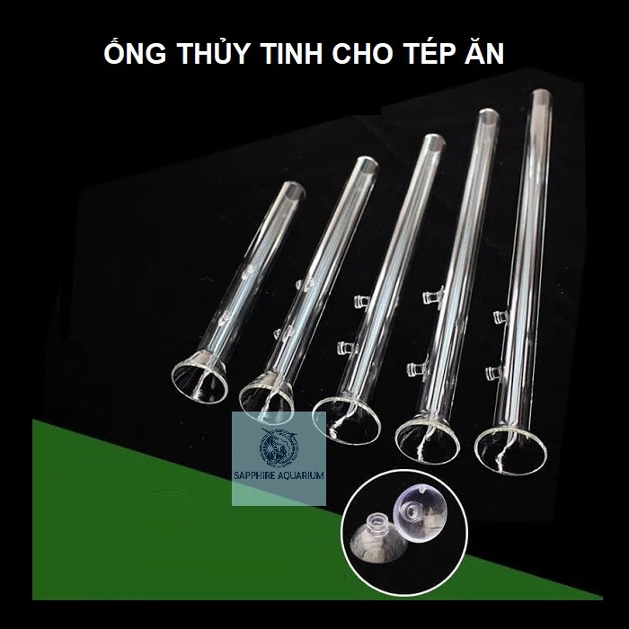Bộ Ống + ĐĩaThủy Tinh Giữ Thức Ăn Cho Cá Tép