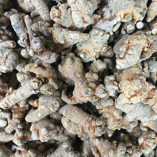 500g củ tam thất bắc