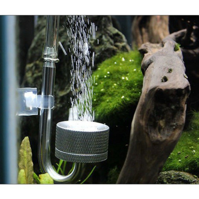 Đầu sủi co2 inox mufan