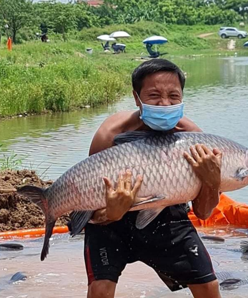 Thính trắm đen. Vua trắm đen. Cực kỳ uy tín. Câu là chạm