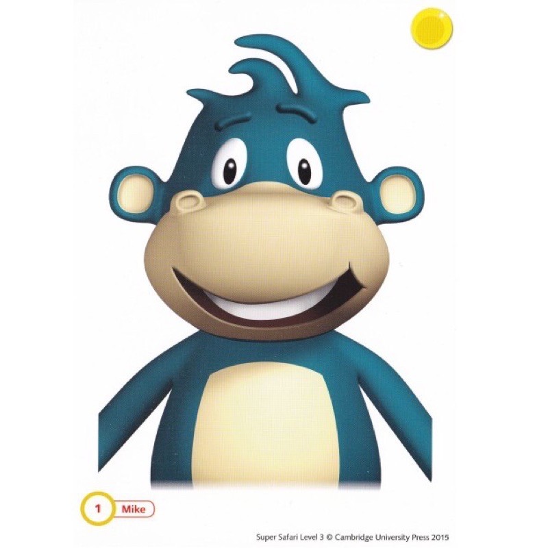 Flashcards Super Safari 3 -ép plastics bền đẹp