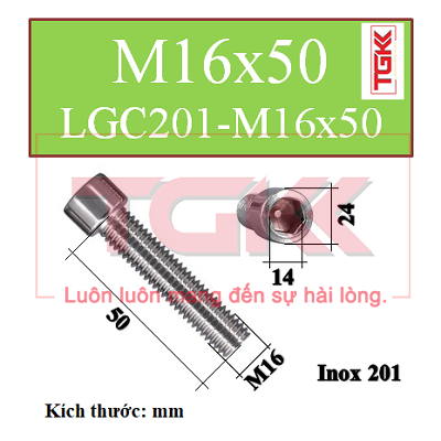 Bulong lgc đầu trụ inox 201 m16