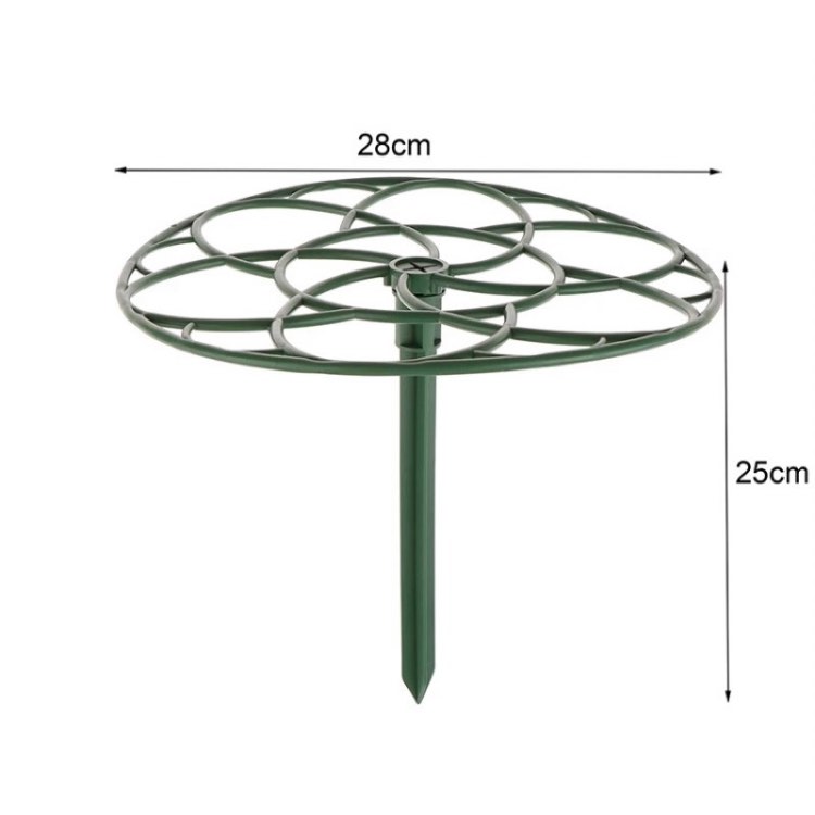 Khung giá đo hoa mười giờ. Kích thước 19/23/28cm