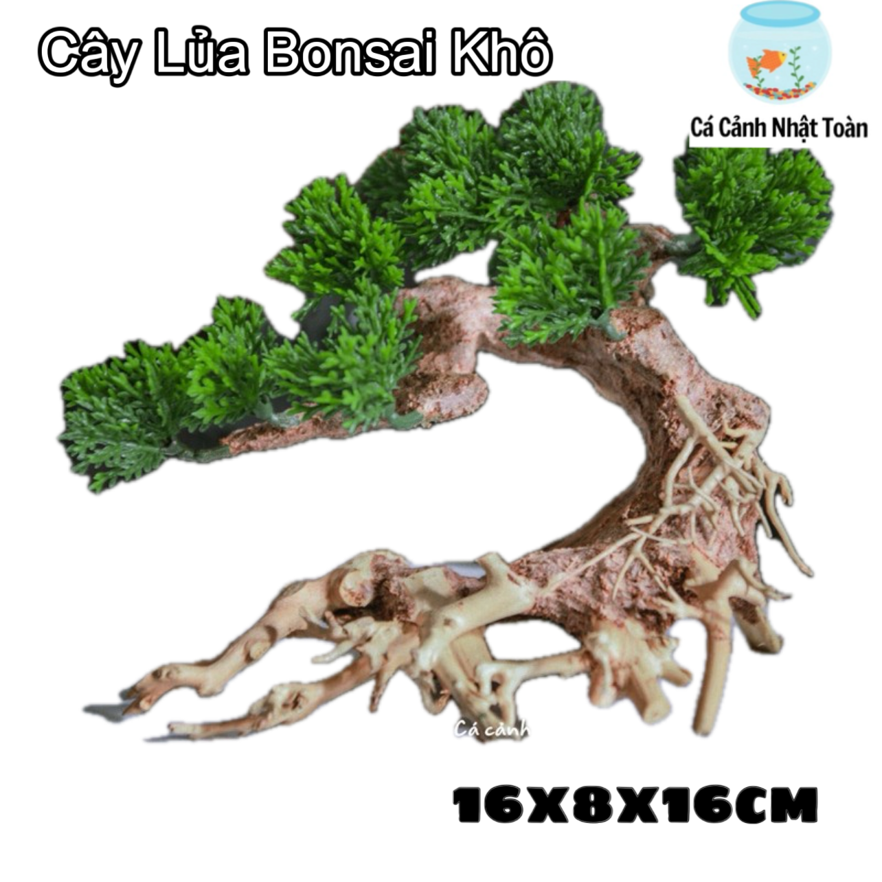 "Hoàn tiền đến 10%" CÂY BONSAI KHÔ TRANG TRÍ HỒ CÁ NON BỘ 16x8x16cm