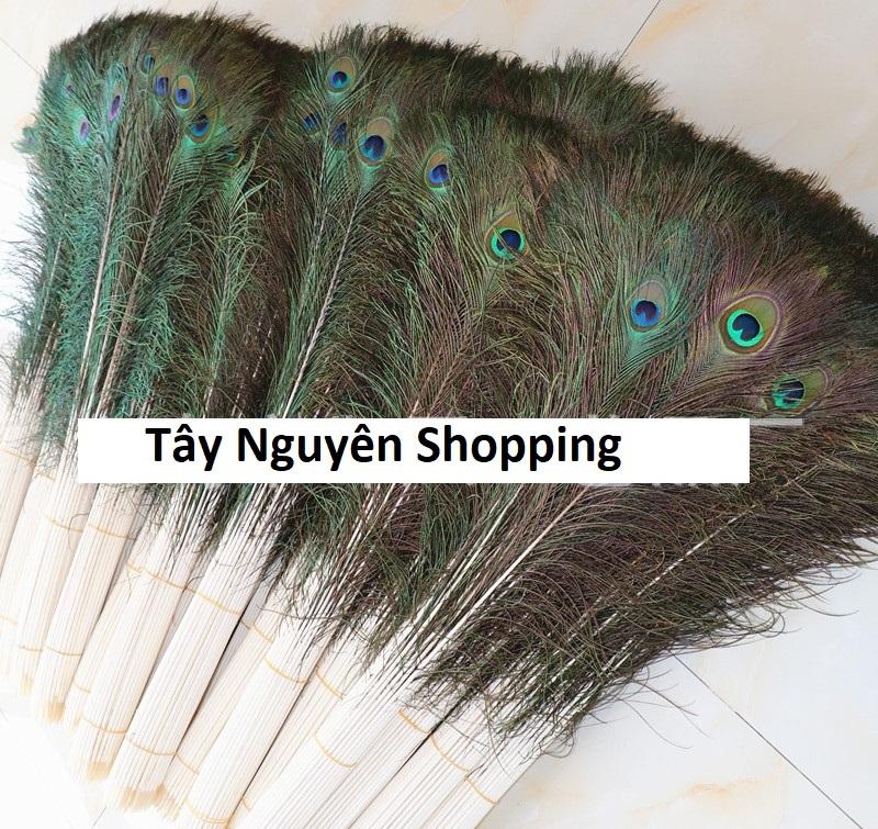 10 Lông công phong thủy Ấn Độ dài 1m loại đẹp