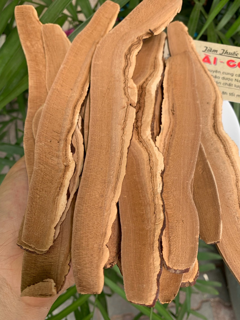 Nấm Linh Chi Hàn Quốc Thái Lát 1kg