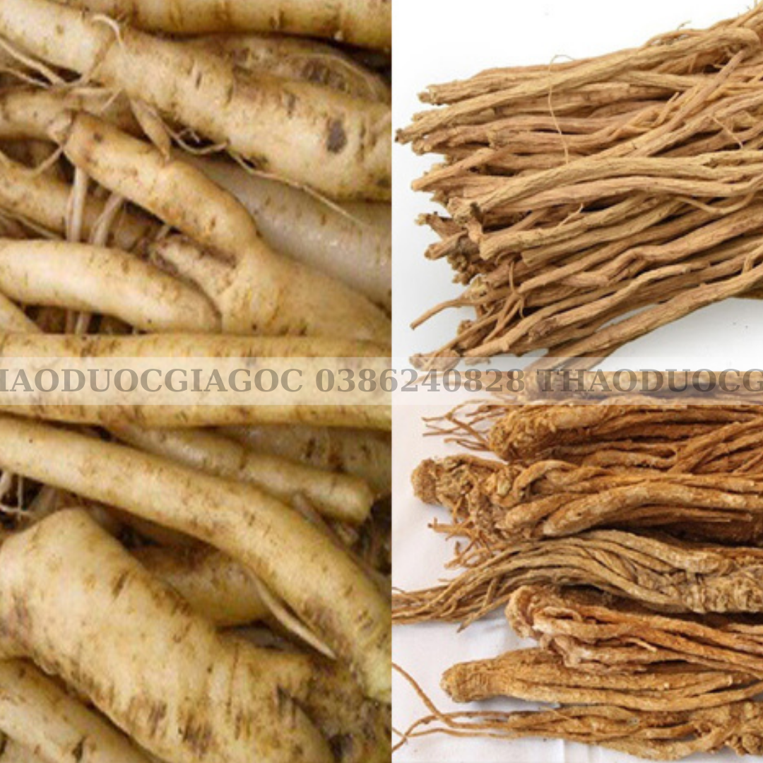 500gr đẳng sâm tây bắc khô loại ngon