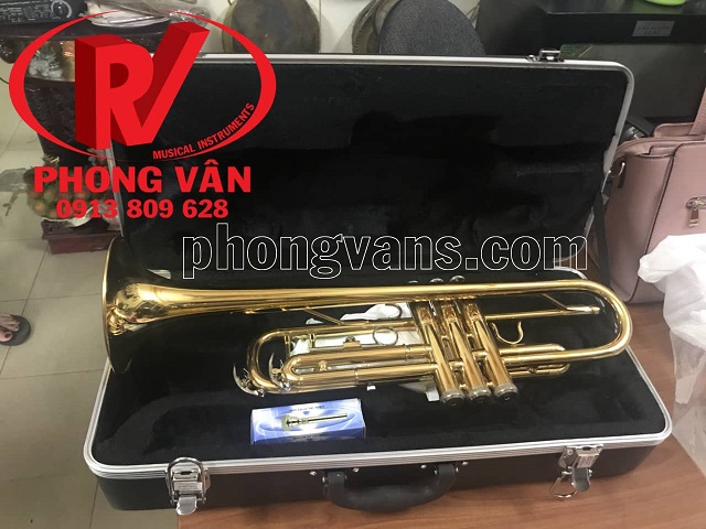 Kèn trumpet Victoria màu vàng