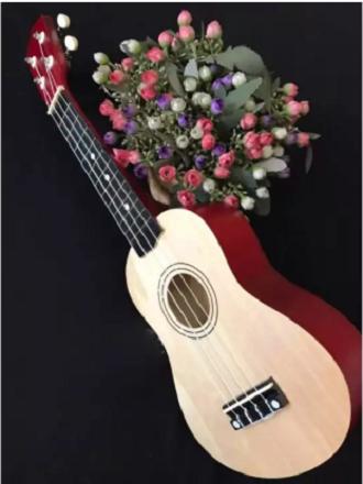 Đàn Ukulele Soprano Giá Rẻ 21 Inch.